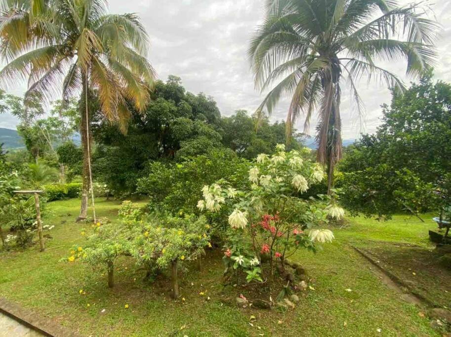 El Porvenir * Acacias